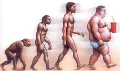 evolucion-humana-sobrepeso