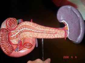 PANCREAS_RET